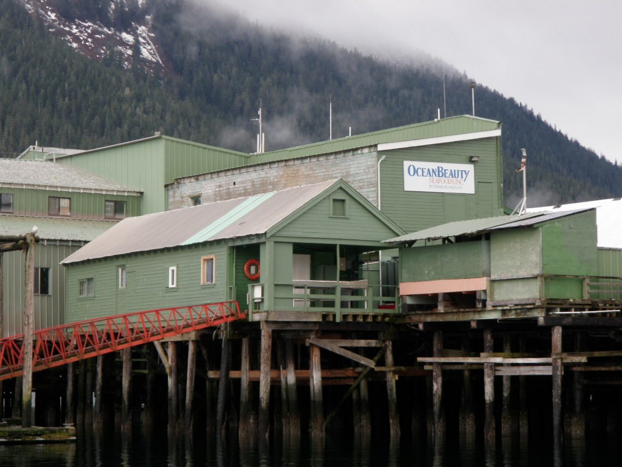 Ferry-damaged salmon plant won’t process fish