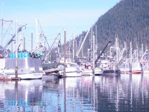 Seiners in Petersburg Harbor