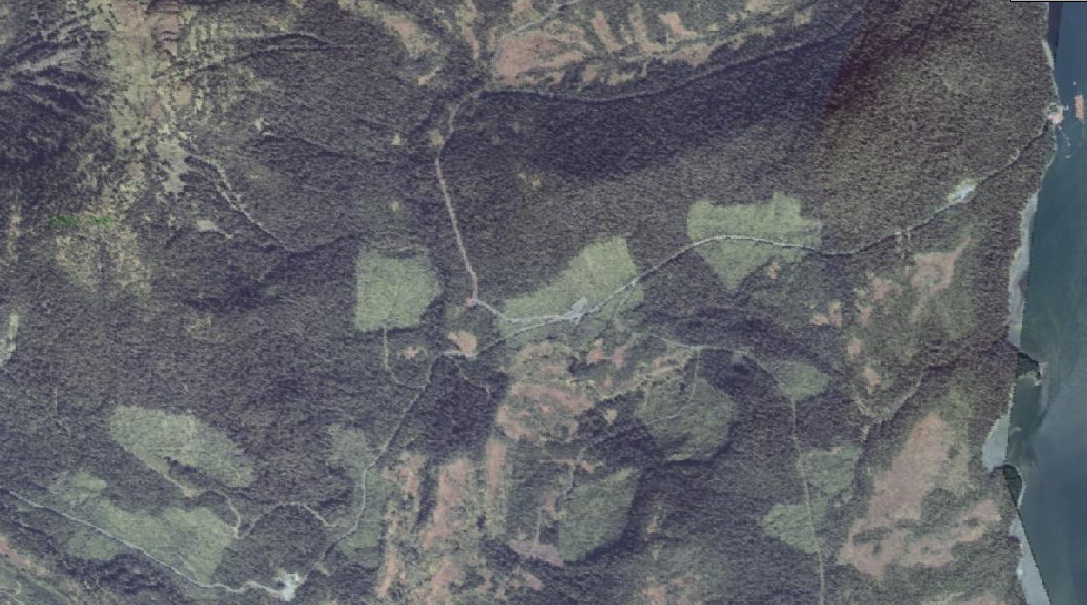 “Stewardship” workshops continue as Tonka Timber sale awarded
