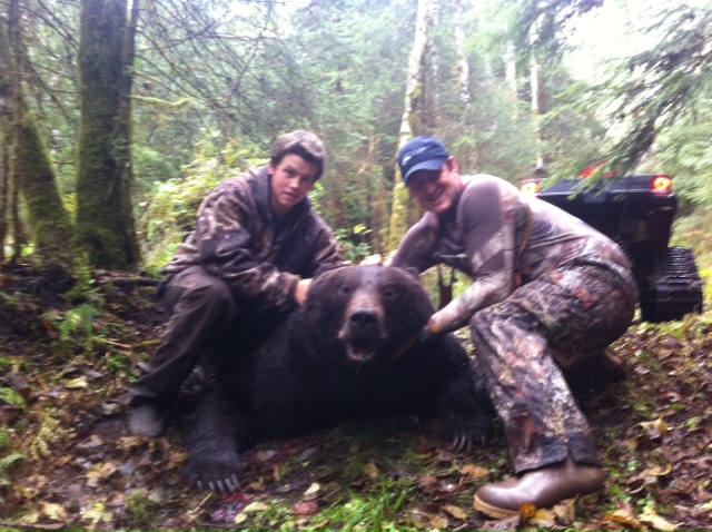 Brown bear shot in black bear territory