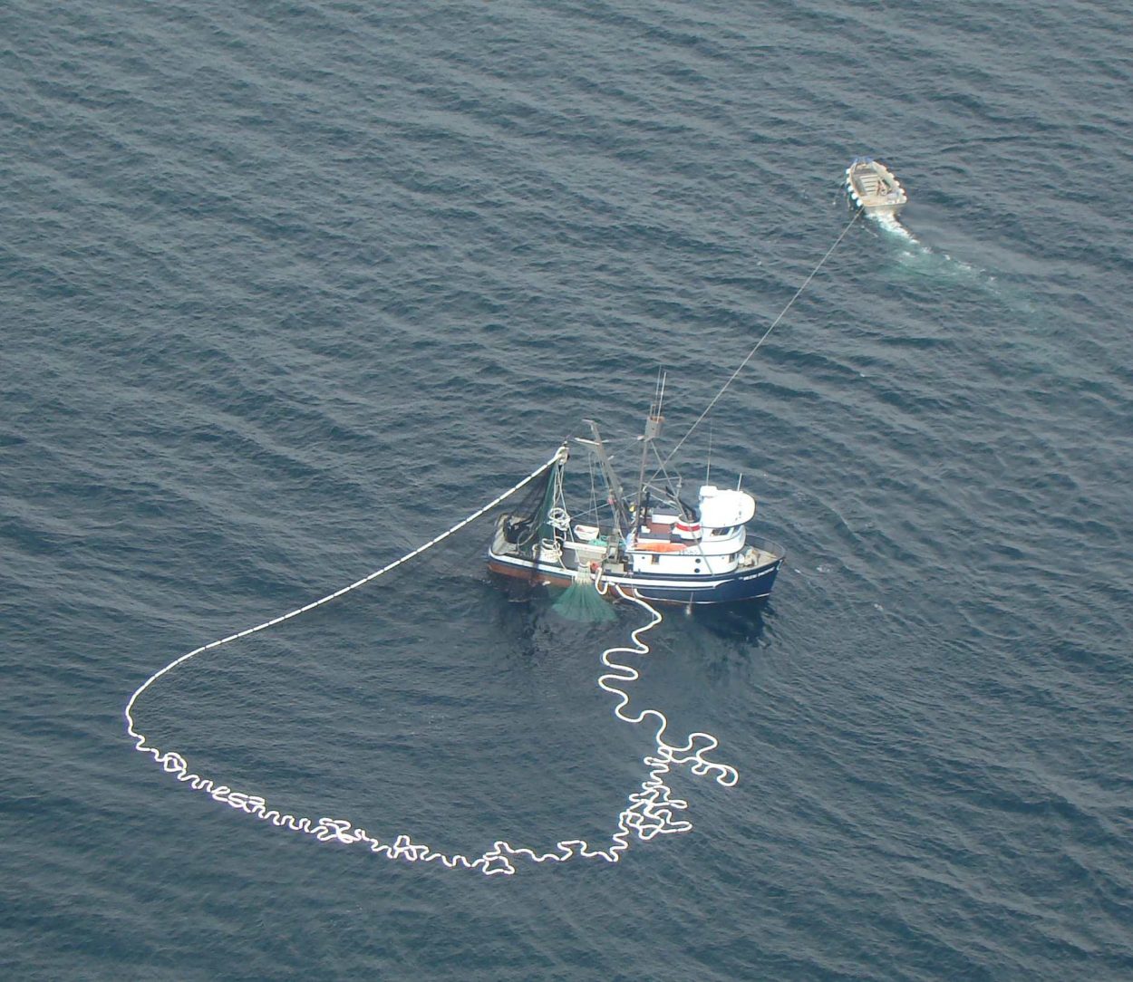 Fees for Southeast salmon seiners look to drop in 2013