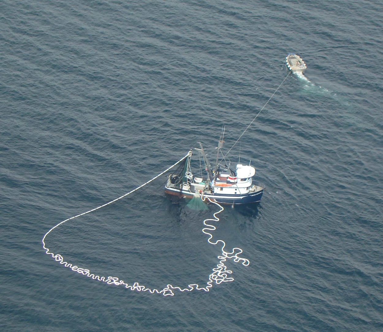 2013 SE salmon catch by the numbers