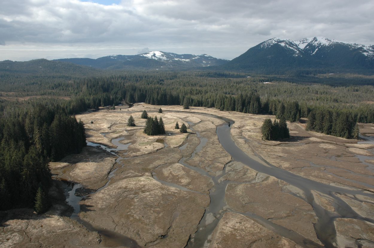 Scientists call for greater protection for Tongass salmon streams