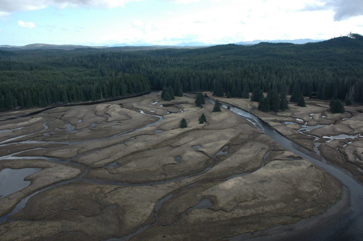 After logging damage, Forest Service restores streams near Kake