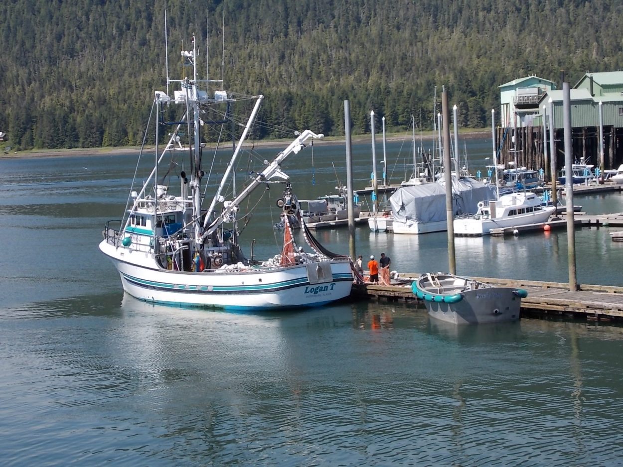 Region’s commercial net fisheries hauling in early chums
