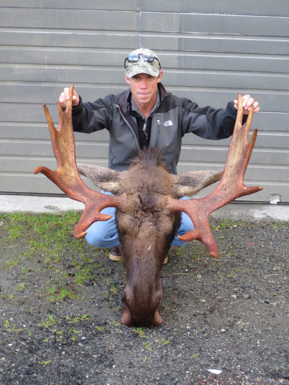 3rd biggest year for central SE moose