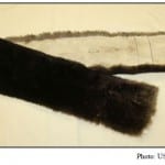 Otter hide scarf not sig altered