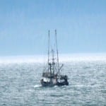 8-20-13 Fishing boat near mouth of Wrangell Narrows near Petersburg