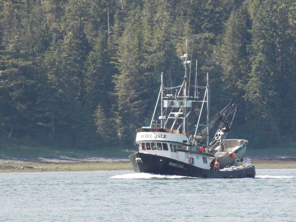 Big inventory of Alaska pink salmon presents marketing challenge