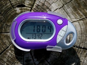 Pedometers like this one are being given out to Petersburg residents. Photo Angela Denning
