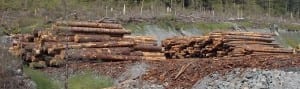 logs