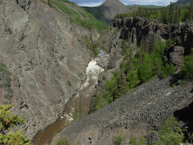 Stikine tributary sockeye pass landslide blockage