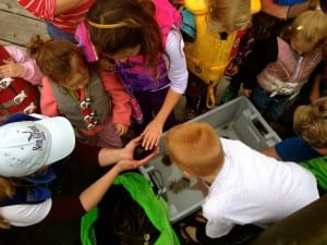 Sunny Rice offers children a feel of the sea life the divers found under the State float plane dock. Photo/Angela Denning