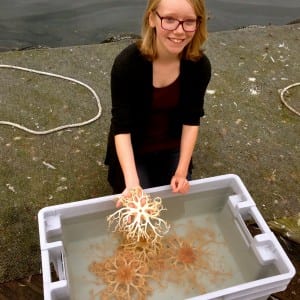 Helen Martin, 14, shows participants the lacy looking basket starfish. Martin and other high school students with the Tsunami Bowl volunteered for the Diving for Science workshop. Photo/Angela Denning