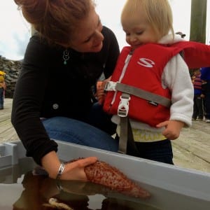 Erin Kandoll shows her 1-year-old niece Zoe Watkins a sea cucumber. Photo/Angela Denning