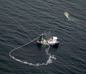 A seine fishermen closes up his net. 