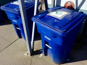 All cart customers would use 96 gallon blue recycling bins like these. Photo/Angela Denning