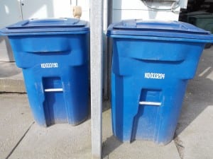 Petersburg is planning to purchase blue recycling bins for household customers, to replace blue plastic bags currently used for curbside collection. 
