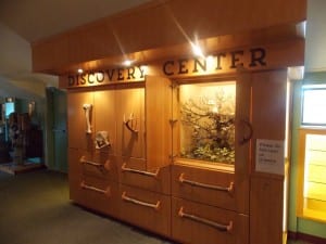 discoverycenter2