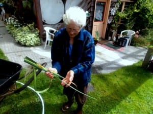 Sharon Sprague picks vegetables in her garden on Sasby Island.(Joe Sykes)