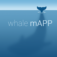 Whale mAPP brings power of mobile technology to marine biology
