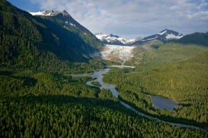 View of the Mendenhall Glacier in the Tongass National Forest. Photo/americanforests.org