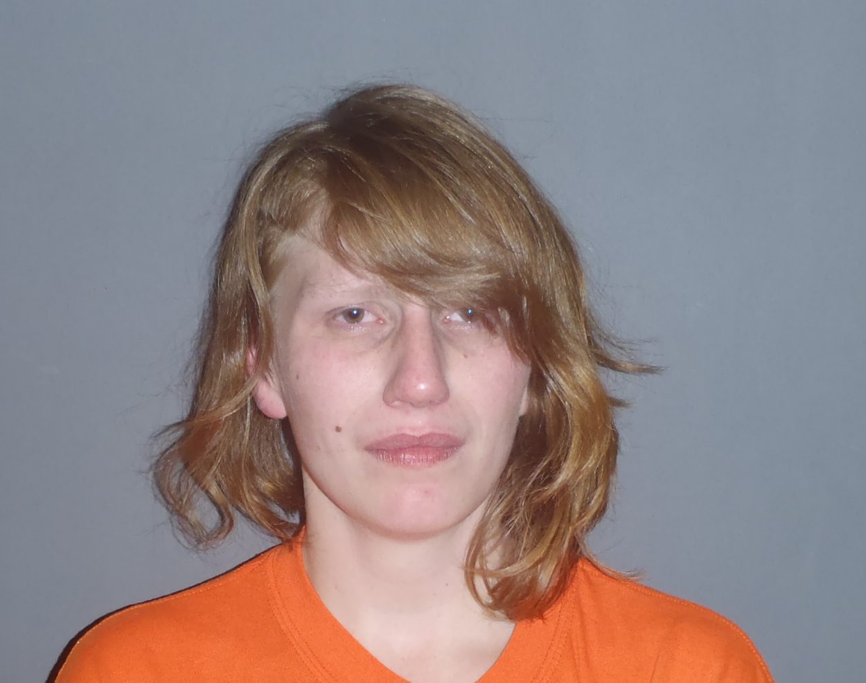 Petersburg woman arrested for burglary