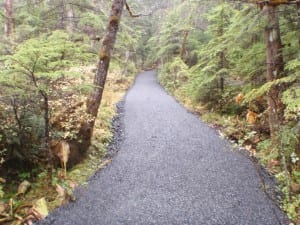 This new section of the Ravens Roost Trail runs from the service road to the bottom of the mountain. Photo/USFS