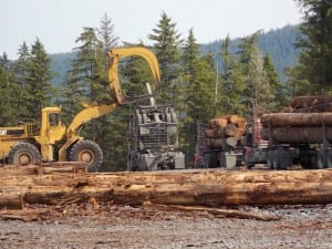 Logs are loaded onto a truck on Kupreanof Island in 2013.