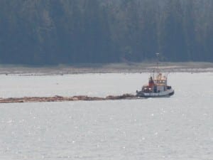 A tug pulls a log raft down the Wrangell Narrows near Mitkof Island in 2013. (KFSK file photo)