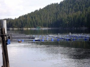Hidden Falls Hatchery release site. Photo/UAF