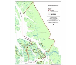 Petersburg assembly approves advisory vote requirement for remote zoning