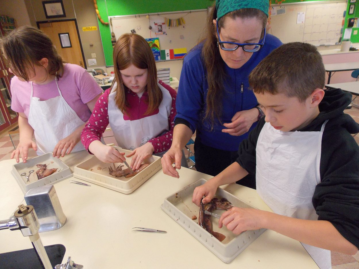 Science club starts up for Petersburg middle school
