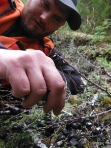 ADF&G wildlife technician, Lucas Baranovic, swabs deer pellets for DNA studies. Photo courtesy of ADF&G