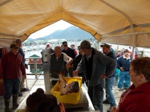 Mickey Knight, center, and Dick Eide, right, inspect Eide's 37.2 pound second place king Monday night at the derby weigh in station in North Harbor.