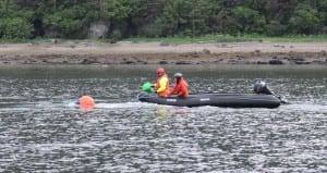 NOAA-led responders attached a green satellite buoy to the entangled humpback when it was swimming in Gastineau Channel on June 4. The green buoy has now become disconnected from the whale, and marine mammal stranding network members are no longer able to track the whale's location. (Photo courtesy of NOAA Fisheries)
