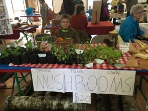 Blaise Cowan sells plant starts and mushroom logs. (photo/Abbey Collins)