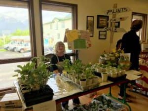 Beth Richards sells plant starts at the market. She says some of them are "mystery plants." (photo/Abbey Collins)