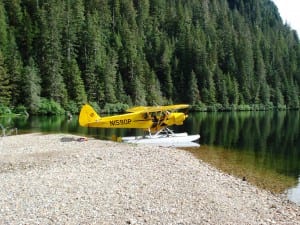 This super cub at Eliza Lake allows biologists to track pink salmon escapements from the air. Photo courtesy of Troy Thynes