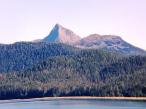 A mountain peak rises above the Tongass National Forest northeast of Sitka Aug. 3, 2016. (Photo by Ed Schoenfeld/CoastAlaska News)