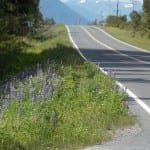 The Alaska Department of Transportation says it will continue with only mechanical trimming of plants along roadsides in Southeast.