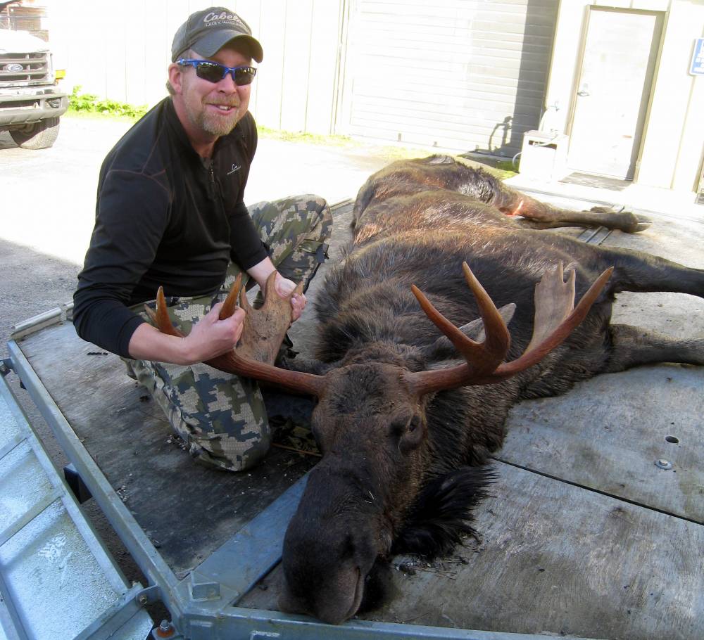 77 moose harvested so far in local hunt