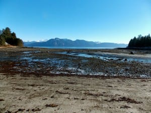 The tide is out at the borough's Sandy Beach Park. Native petroglyphs, fish traps and the borough property to be sold in January are near the point at the left of the photo. (KFSK file photo)