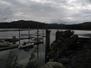 Whale Pass harbor (photo from the Alaska Department of Commerce, Community and Economic Development Division of Community and Regional Affairs’ Community Photo Library)