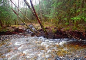 Photo of Ohmer Creek from USFS November 2016 Record of Decision