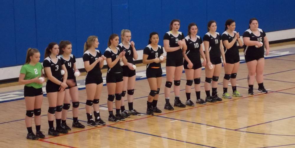 Craig takes 2A volleyball crown, Petersburg second