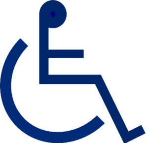 New taxi business would provide wheelchair cabs