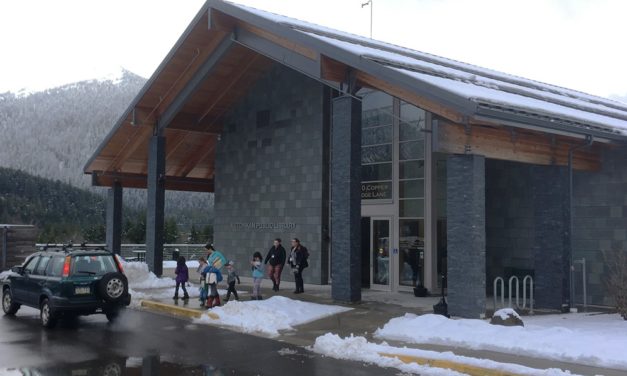 How much does Ketchikan use its library?