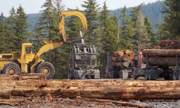 Petersburg assembly opposes Young’s forest bill