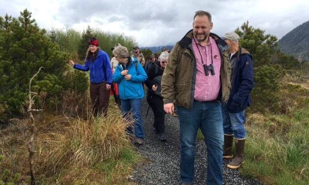 Muskeg is a unique environment among Petersburg’s mountainous landscape